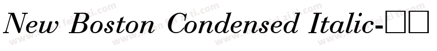New Boston Condensed Italic字体转换